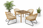 Anita 4-Seater Dining Set